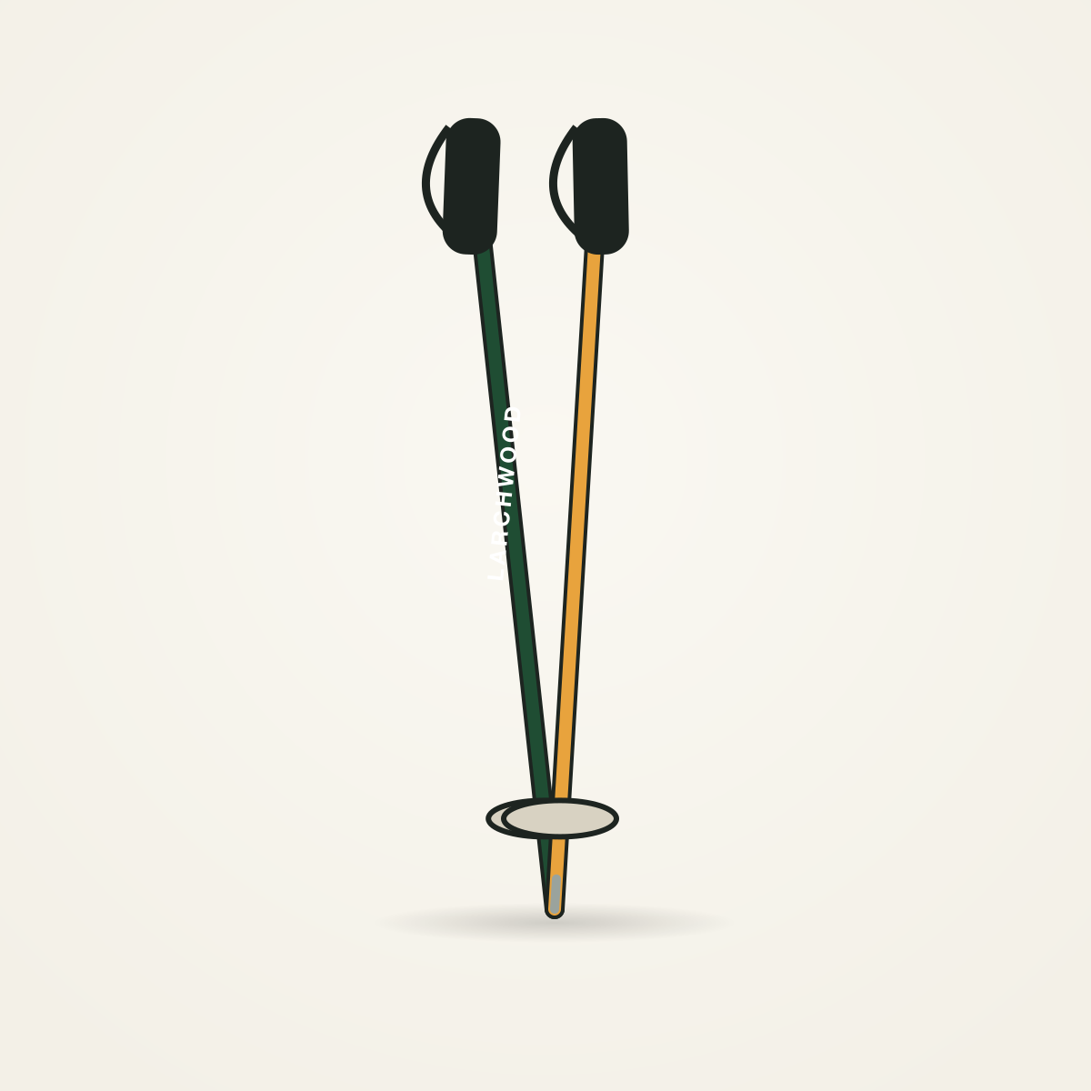 Larchwood Alloy Ski Poles